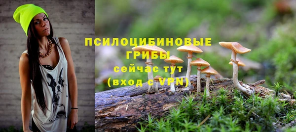 кокаин премиум Богородицк