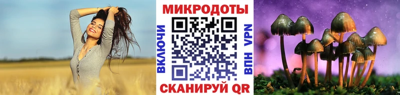 продажа наркотиков  Волосово  Галлюциногенные грибы Psilocybe 
